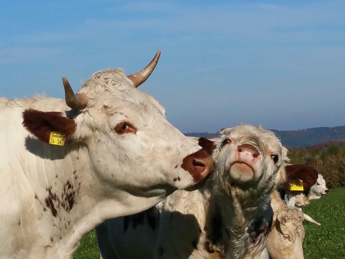 Betzemuehle 2 Bauernhof * Altenschlirf
