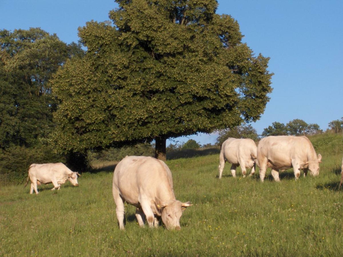 Betzemuehle 2 Bauernhof * Altenschlirf